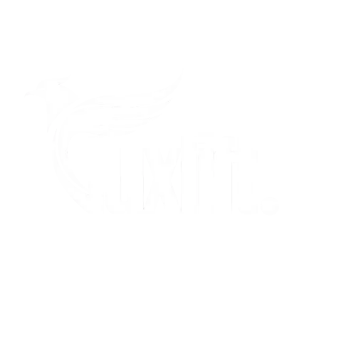 LUXLIFT